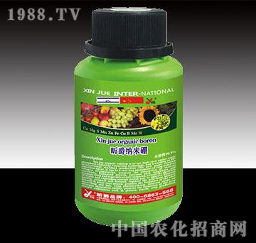 꿾��{����