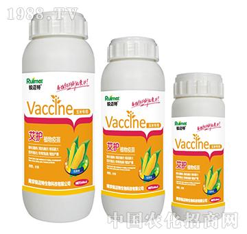 ���oֲ���������׌���-�J�~��