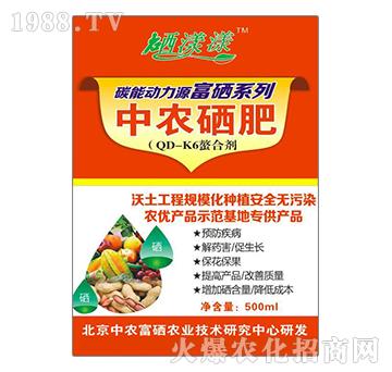 ���r����-�ڼژ�-���rӿ��