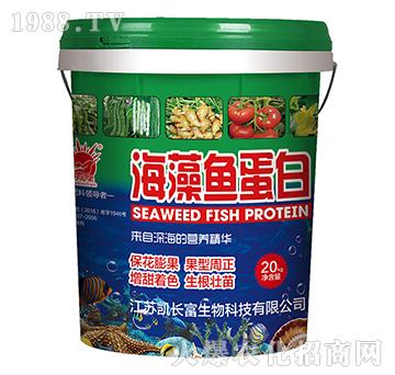 �����~����-�P�L(zh��ng)��