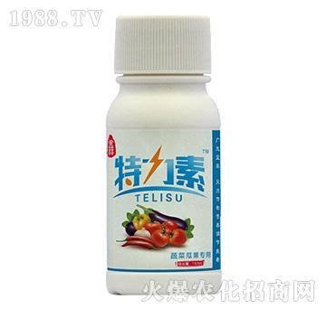 �߲˹Ϲ�����-������-�{���r(n��ng)��