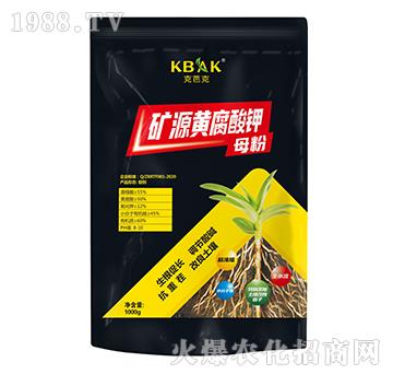 �VԴ�S�����-�˰ſ�