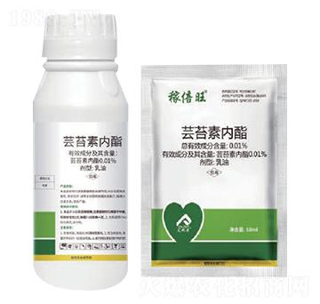 �|̦�؃���-������-�����r