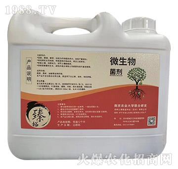 ΢�������-��������