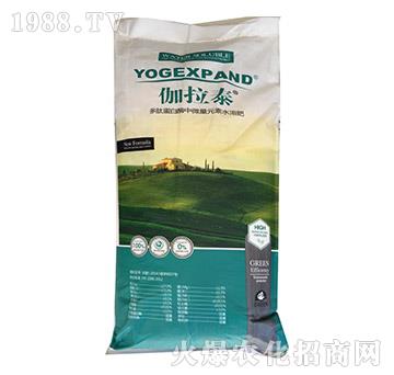 ���ĵ���ø��΢��Ԫ��ˮ�ܷ�-٤��̩-��?t��ng)����? width=