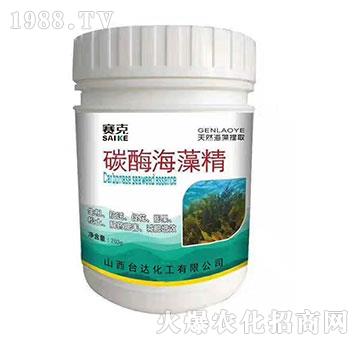 ̼ø���徫-ِ��-�_�_