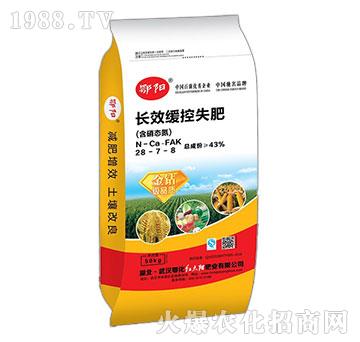 �L(zh��ng)Ч����ʧ�ʣ������B(t��i)����28-7-8-�t̫�(y��ng)