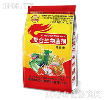 ��(f��)���������-������-ꖹ�����