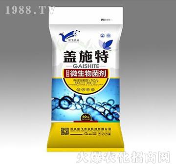 ΢�������-�wʩ��-���w�r(n��ng)�I(y��)