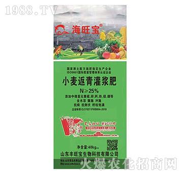 С��������{��-�S����