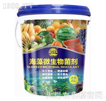 ����΢�������-��@���S-���S�ʘI(y��)