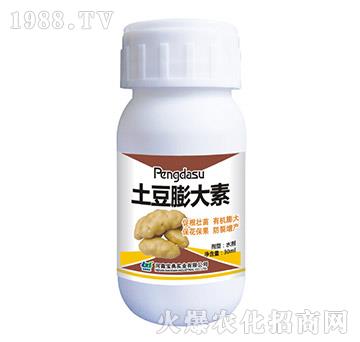 ���������-���䌍(sh��)�I(y��)