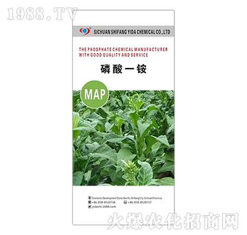 ����һ�@-�����_