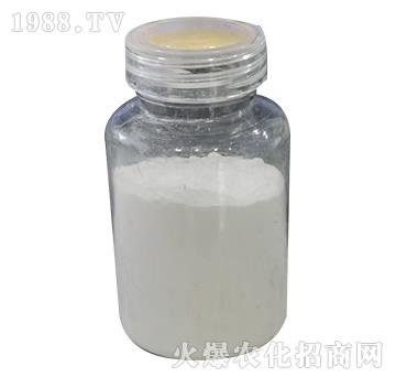 ����������0-52-34-���P����