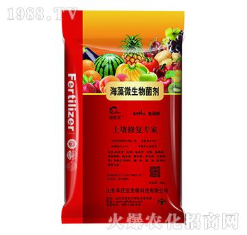 ����΢�������-�S����