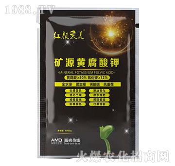 �VԴ�S�����-�t���-��ķ�_(d��)