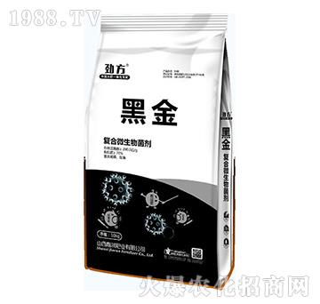 ��(f��)��΢�������-�ڽ�-�Ν��ʘI(y��)