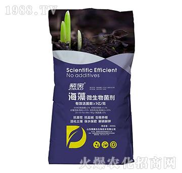 5�|����΢�������-�ό�-�Z�M�}