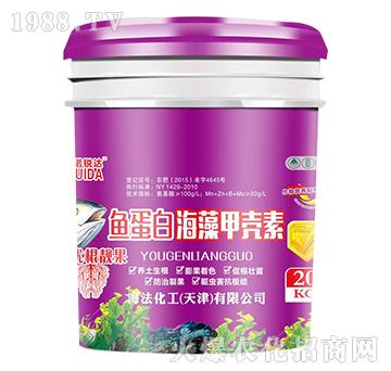 �~���׺���ך���-�Z�J�_-��������