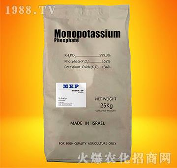 �M(j��n)������������-��(sh��)��