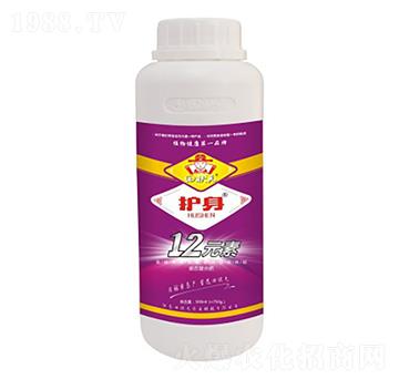 12Ԫ��-���Ԫ