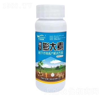 ���������-�f(w��n)����