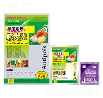 ���������-ʥ�ϝ�(r��n)