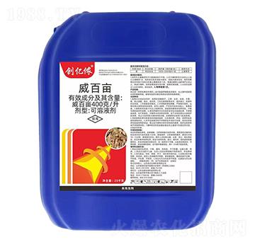 400��/�����ٮ�-��(chu��ng)�|�z-�ĳǿƄ�(chu��ng)