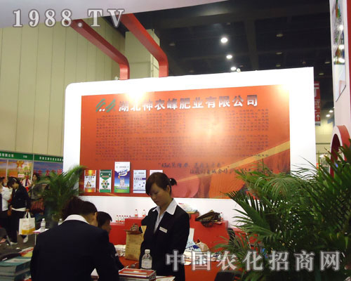 �ӱ����r(n��ng)��ʘI(y��)�����ݷ����p����¡��������