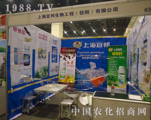 �~�۷�������R��ƴ