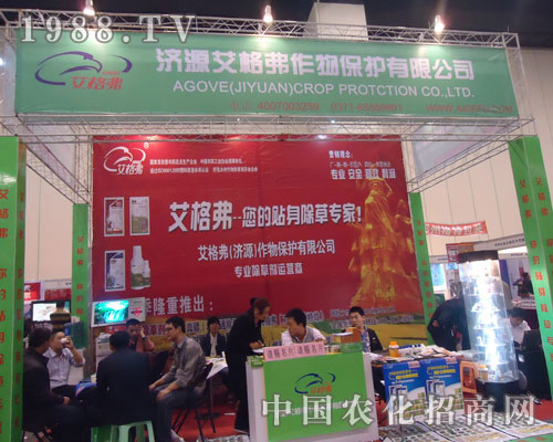 ���������N�����݌�����