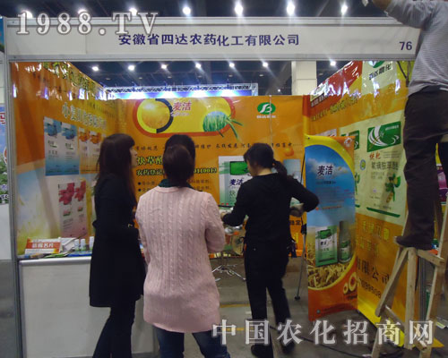 ���_(d��)�������ɿ�