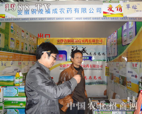 �~�긣���r(n��ng)ˎ���ϺϷ��r(n��ng)�Y���ו�(hu��)�����_(t��i)