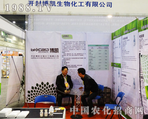 �_�ⲩ�P���ﻯ����2013�����rˎ����