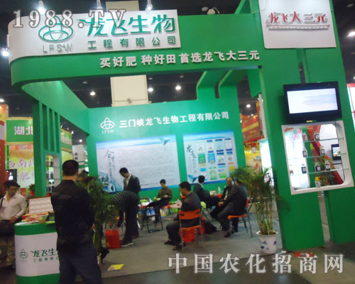 ���T�{���w�����ڵ�ʮ���ȫ�����ϕ�������