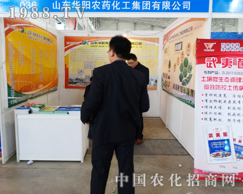 ɽ�|�A��r(n��ng)ˎ����(zh��n)2015�ӱ�ֲ����