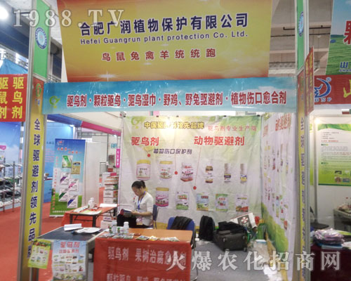 �ϷʏV�����o��2016����ֲ�����ו�������