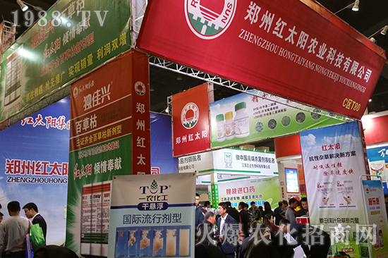 ɽ�|��(j��)������̩����2016�����r(n��ng)ˎ������