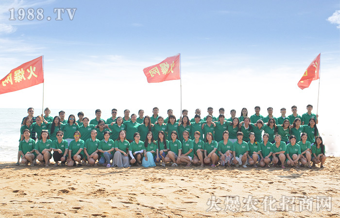 �泯�󺣣����w��