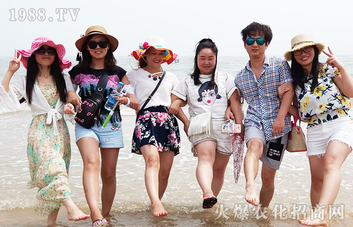 �泯�������w��