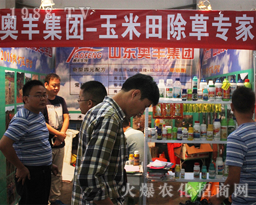 ɽ�|�W�S�����������r�Y���[���A�M�ɹ�