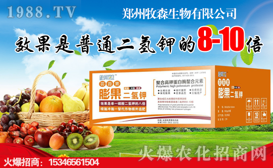 ������ɭ�������޹�˾