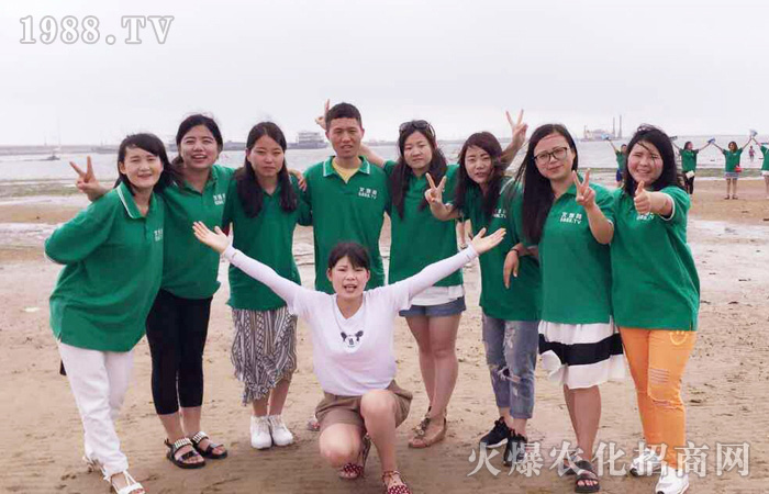 2016����������ゃ���ҵ����������S�������