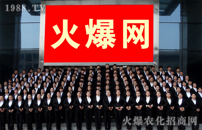 2017�����������^����׌��������