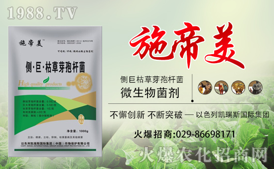 ���P��˹���F��ף��������d�����H�Қg����