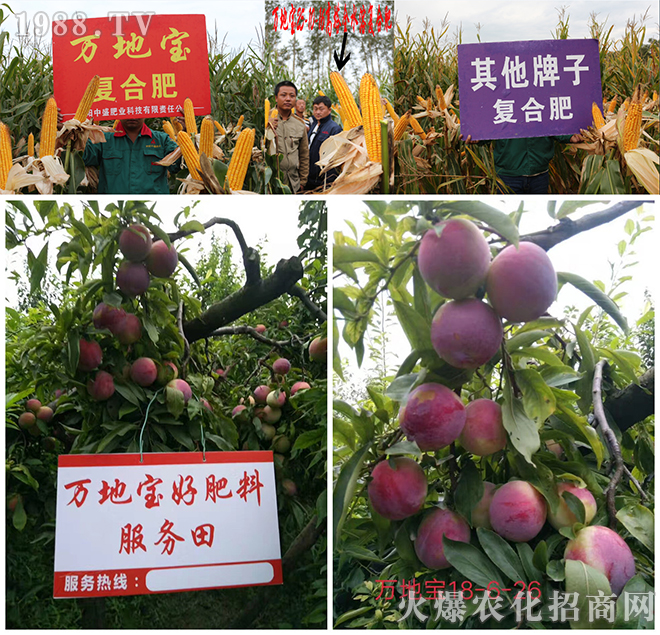 ���(y��ng)��ʢ�ʘI(y��)�Ƽ����޹�˾1