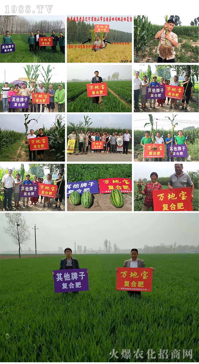 ���(y��ng)��ʢ�ʘI(y��)�Ƽ����޹�˾10