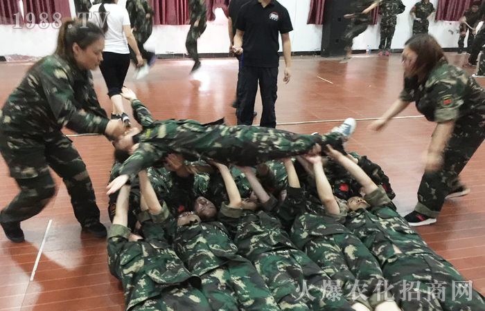 ͻ�ƘO������������