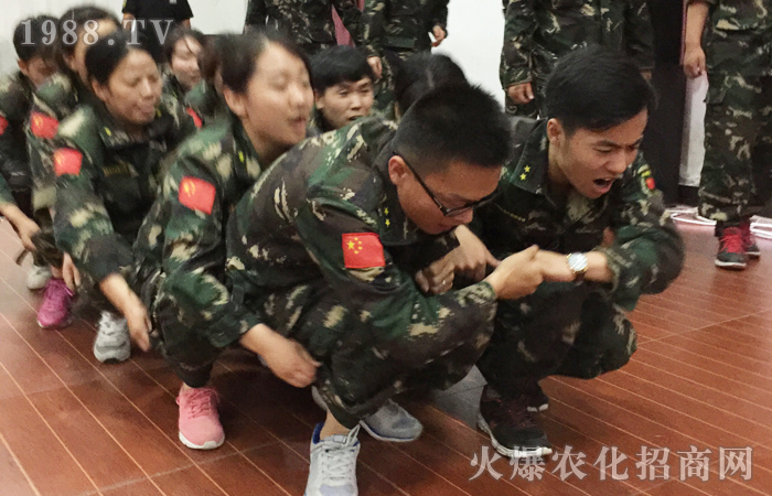 �ԉ����R���Ժ���Ȫ��������������ؓ(f��)���A