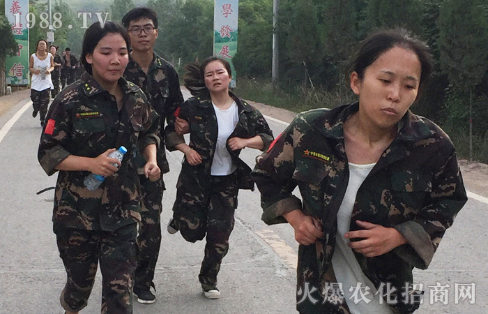 �ԉ����R���Ժ���Ȫ��������������ؓ(f��)���A